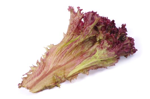 fresh  salad on white background