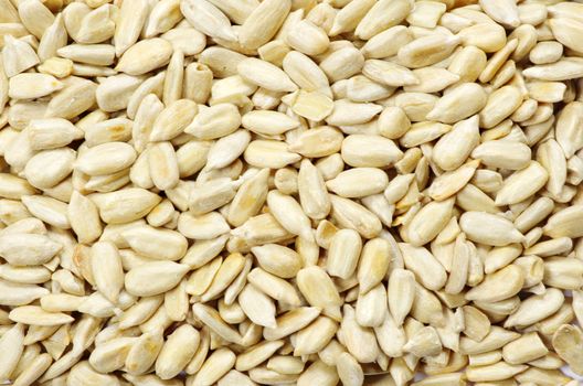 roasted sunflower seeds close up