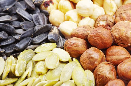  seeds and nuts with collection