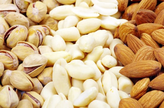 various nuts on a background