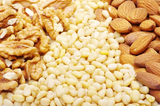 mixed nuts on a background
