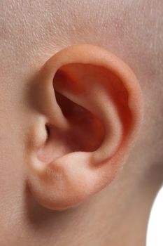 Little human child one listening silence ear macro