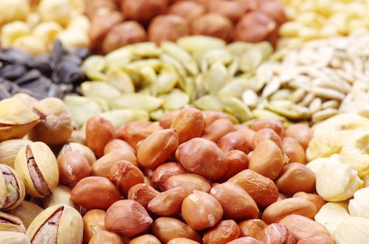  seeds and nuts with collection