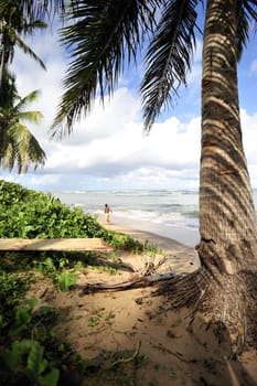 Praia do Forte in Salavador de Bahia state, Brazil