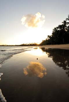 Praia do Forte in Salavador de Bahia state, Brazil