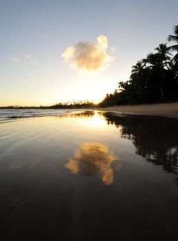 Praia do Forte in Salavador de Bahia state, Brazil