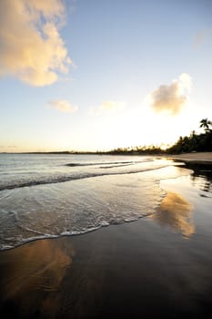 Praia do Forte in Salavador de Bahia state, Brazil