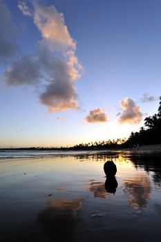 Praia do Forte in Salavador de Bahia state, Brazil