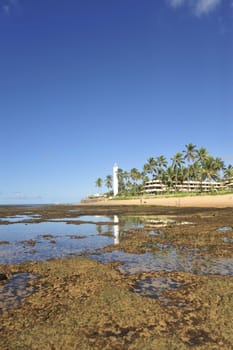 Praia do Forte in Salavador de Bahia state, Brazil