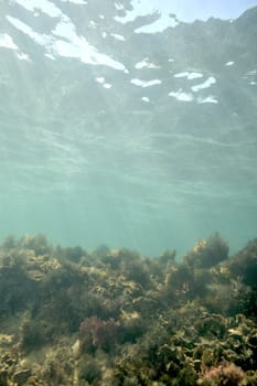 Scuba diving with underwater view.