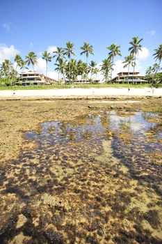 Praia do Forte in Salvador de Bahia state, Brazil