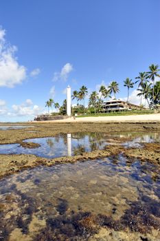 Praia do Forte in Salvador de Bahia state, Brazil