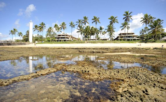 Praia do Forte in Salvador de Bahia state, Brazil