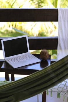 Laptopt with coconut