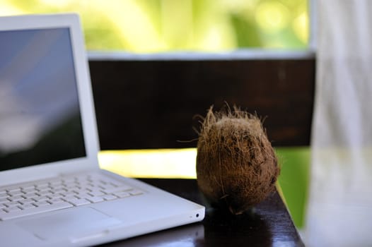 Laptopt with coconut