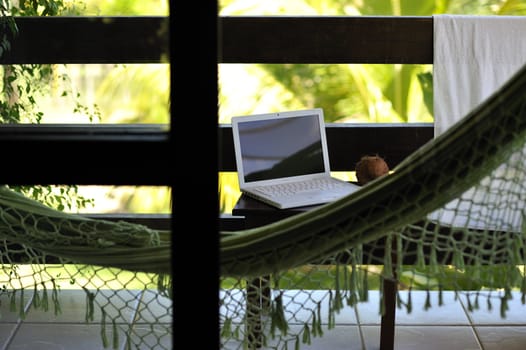 Laptopt with coconut