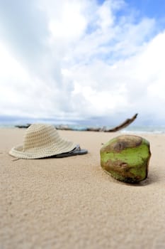 Praia do forte in Salavador de Bahia state, Brazil