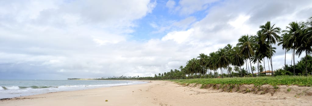Praia do forte in Salavador de Bahia state, Brazil