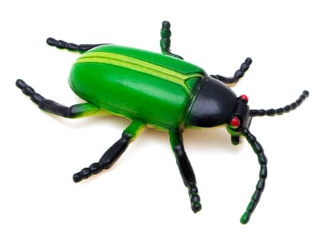 Animal insect beetle or bug toy isolated on white