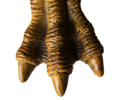 Monster toy or animal dinosaur spooky horror foot