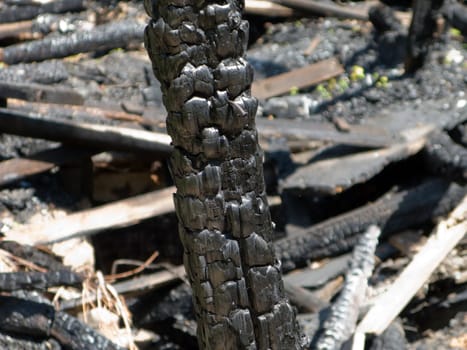 Ruined wood log house burnt by fire to black coal