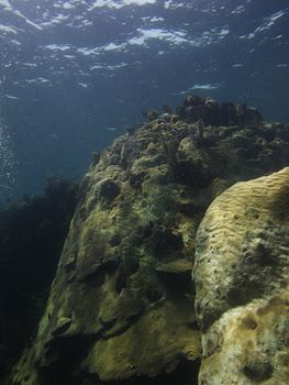 Giant rock with coral forming on top of it