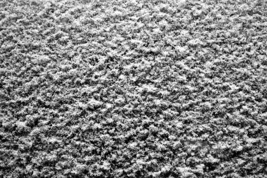 Cold frost snow crystal pattern on frozen window
