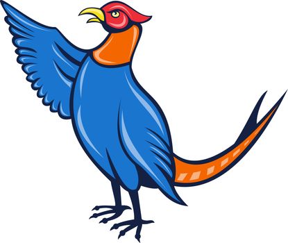 illustration of a cartoon pheasant bird pointing up with wing isolated on white
