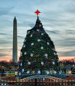 Washington DC national christmas tree with monument in the distance