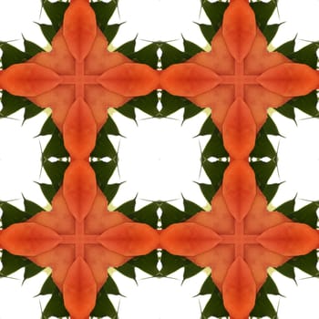 an abstract kaleidoscope background on white background