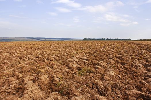 Plow. Arable land, prepared in the autumn following harvest