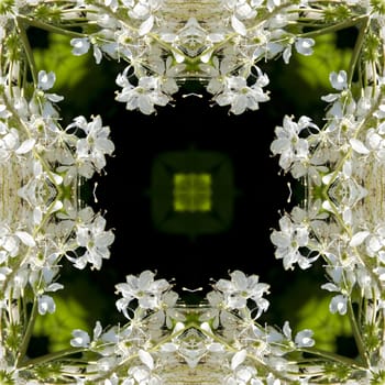 an abstract kaleidoscope background on white background