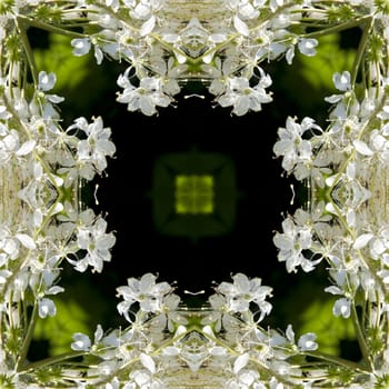 an abstract kaleidoscope background on white background