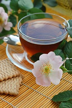 Cup of tea with dog-rose blossom