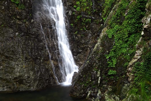 waterfall in forest