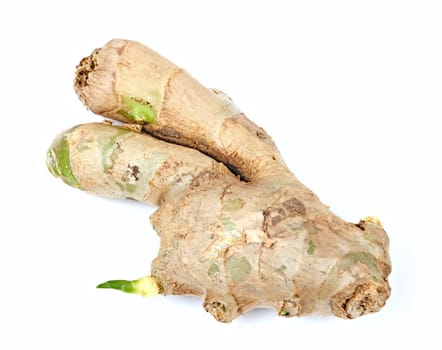 ginger