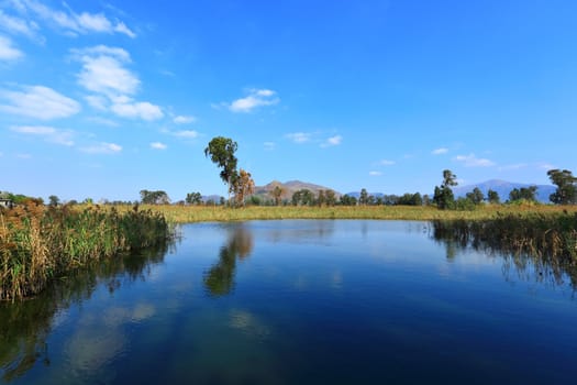 Beautiful lake view