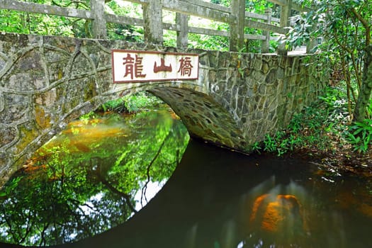 Bridge in forest