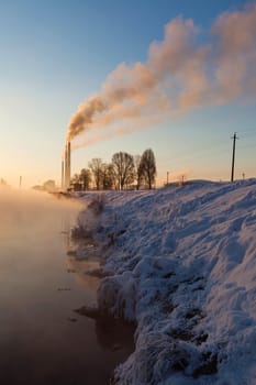 Image of a quiet countryside plant in winter morning