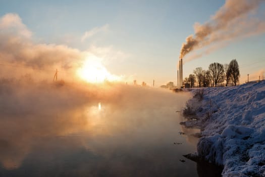 Image of a quiet countryside plant in winter morning