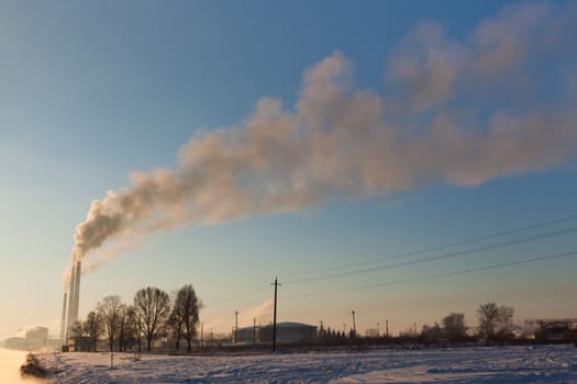 Image of a quiet countryside plant in winter morning
