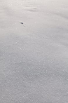 Vertical image of clean snowbound field. Closeup outdoor photo