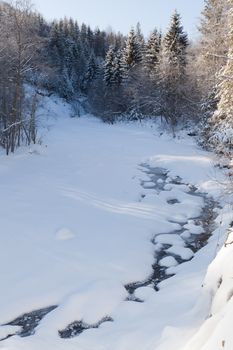 Image of wonderful winter forest with frozen stream