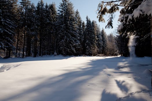 Wonderful image of winter forest and meadow with light and shadows