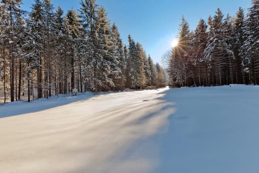 Wonderful image of winter forest and meadow with light and shadows