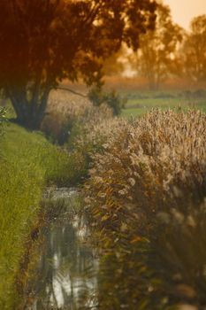 River, field, flower, grass, green, land, landscape, leaves, light, meadow, natural, nature, outdoor, plants, river, rural, season, autumn, spring, summer, sun, tree view,