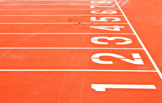 Starting Grid of Race Track in Stadium