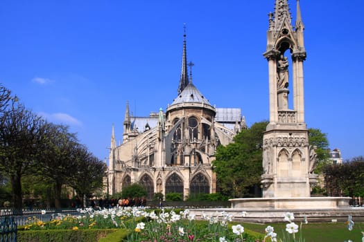 Cathedral Notre Dame, Reims, Champagne, France, closeup