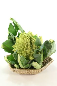 fresh Romanesco vegetables in a basket on a white background