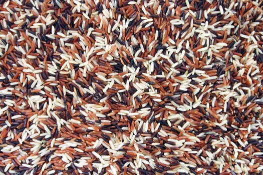 Thai White Red Jasmine and Fragment magenta rice, Trois Amis Organic, Background texture surface pattern